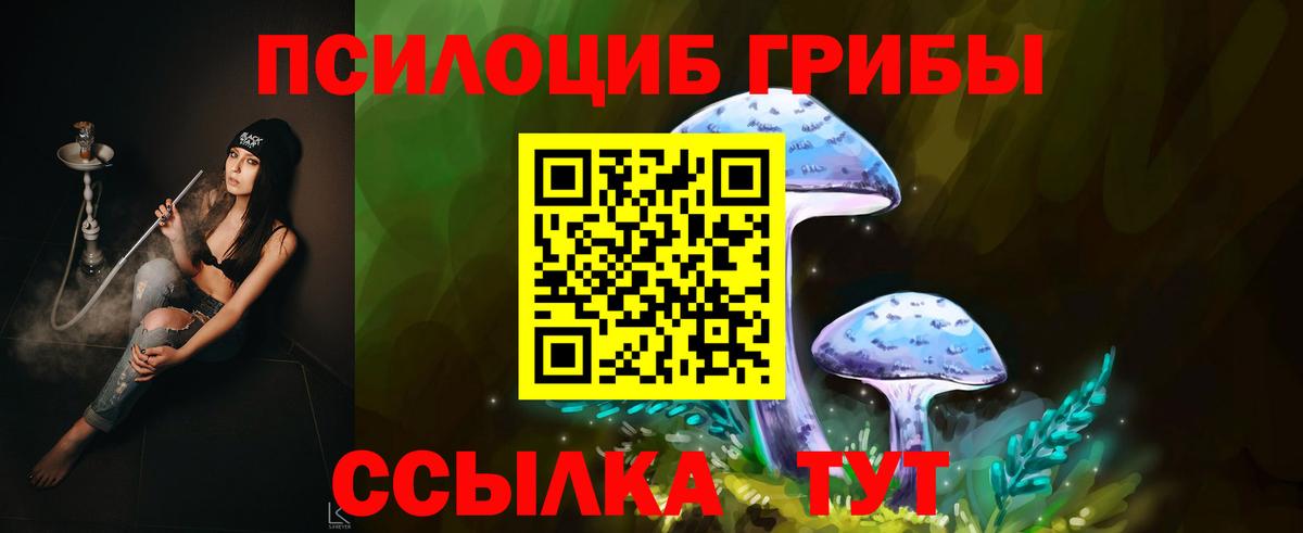 Артём  Галлюциногенные грибы мицелий  Галлюциногенные грибы мухоморы  Вход с VPN 